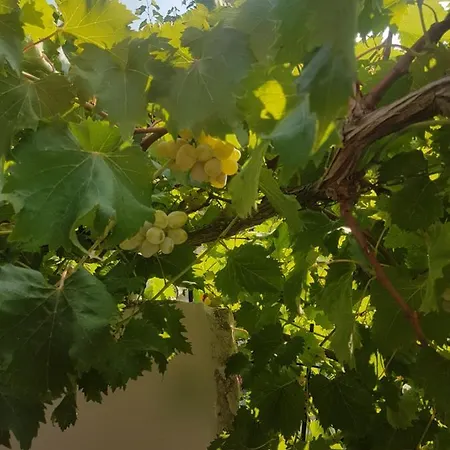 22 Lejlighed Omiš